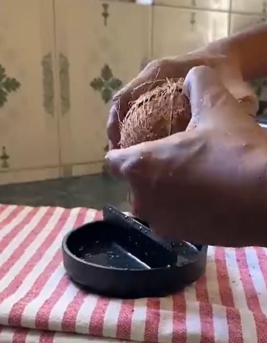 Coconut Breaker Hand Press Tool for Kitchen