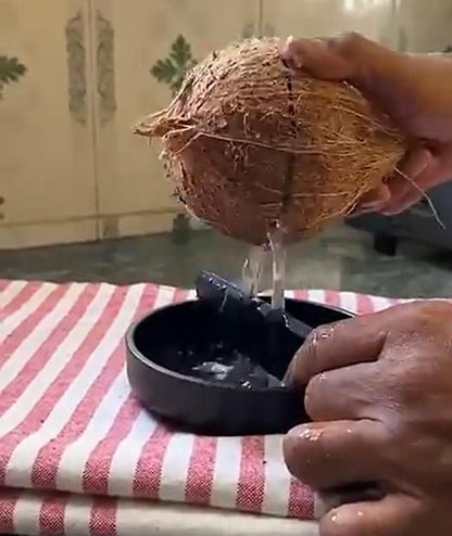Coconut Breaker Hand Press Tool for Kitchen